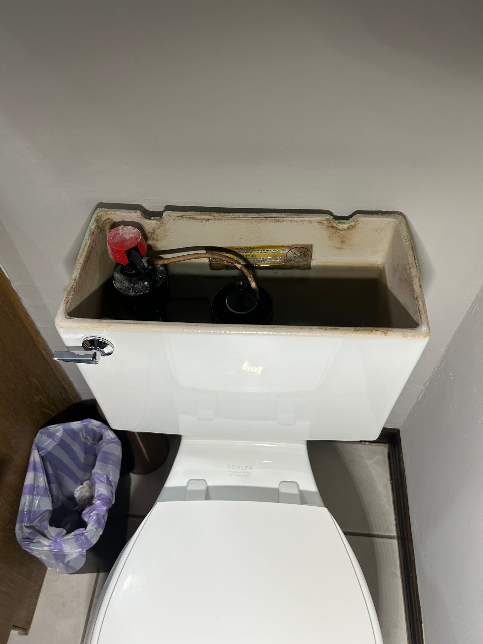 Multiple Toilet Handle Replacement and Tub Shower Rebuild in Dallas, TX
