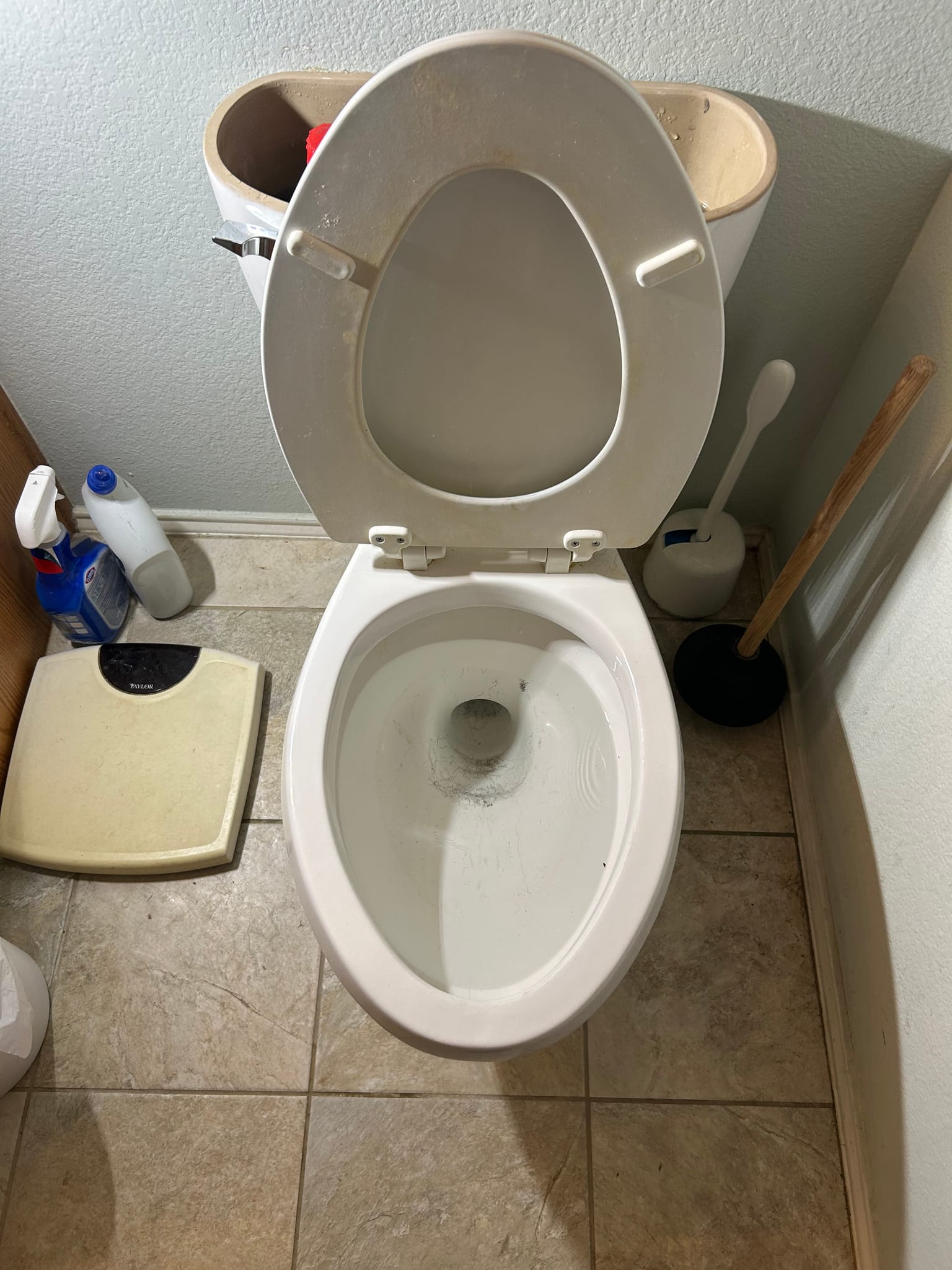 Main Line Drain Cleaning in Rockwall, TX